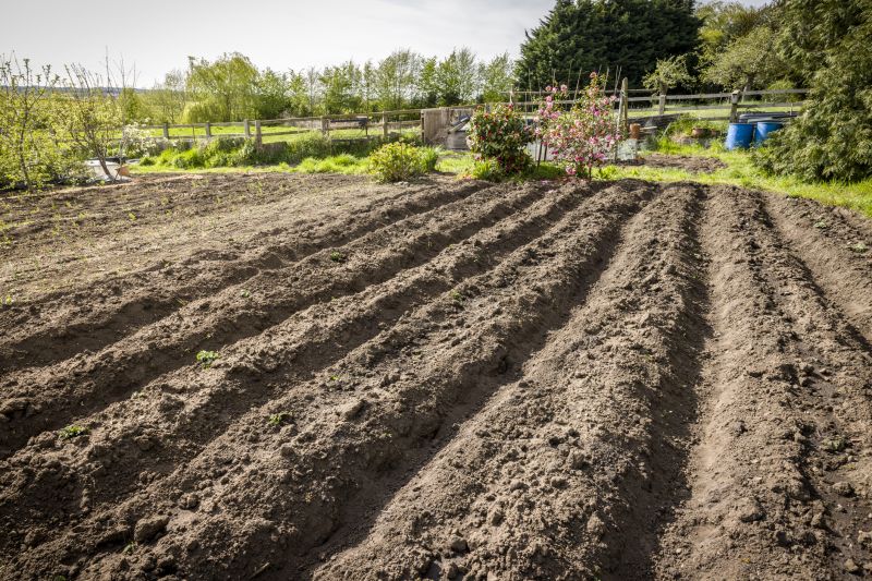 Yard Tilling