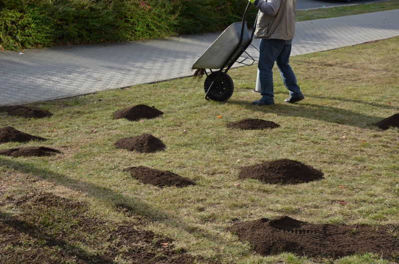 Spring Yard Tilling