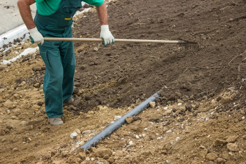 Scheduling with Professionals