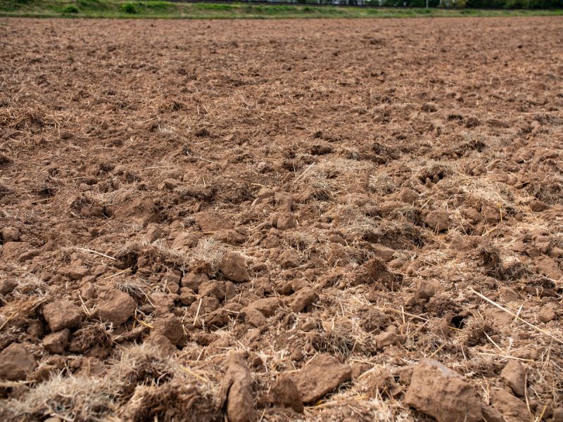 Before and After Tilling